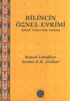 Bilincin Öznel Evrimi