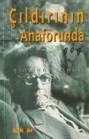 Çıldırının Anaforunda
