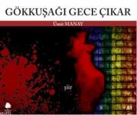 Gökkuşağı Gece Çıkar
