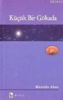Küçük Bir Gökada