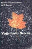 Yağmurlu Sokak
