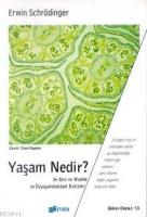 Yaşam Nedir