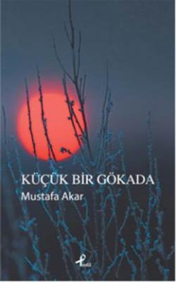 Küçük Bir Gökada Mustafa Akar