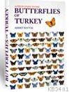 A Field Guide To The Butterflies Of Turkey Ahmet Baytaş
