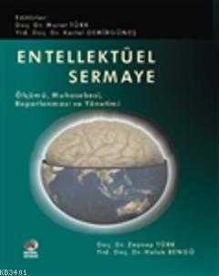 Entelektüel Sermaye Zeynep Türk
