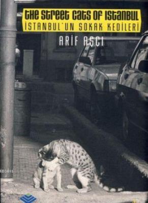 İstanbul'un Sokak Kedileri Arif Aşçı