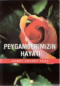 Peygamberimizin Hayatı Ahmet Cevdet Paşa