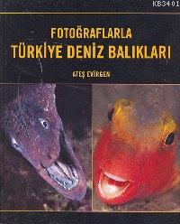 Fotoğraflarla Türkiye Deniz Balıkları